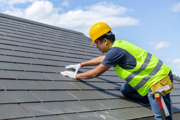 Best Roof Waterproofing Services  in Cedar Springs, MI