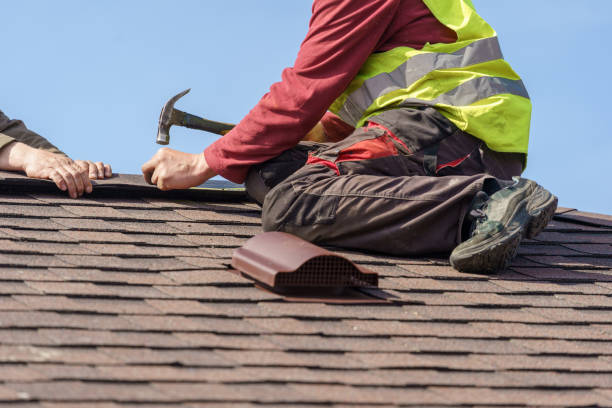 Best Roof Maintenance Services  in Cedar Springs, MI