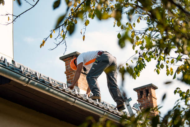 Roof Installation Near Me in Cedar Springs, MI