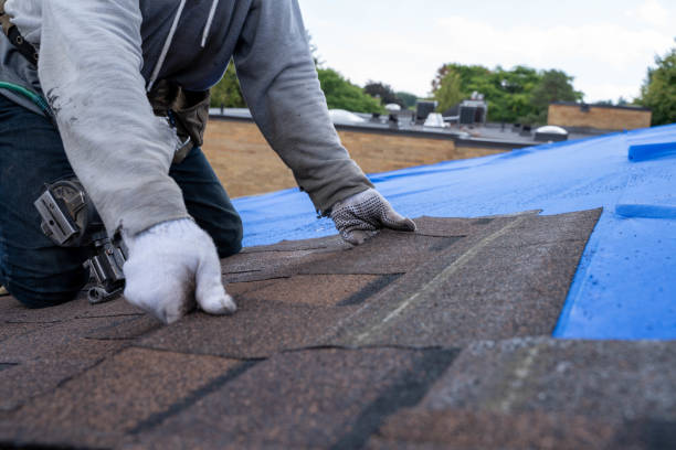 Best Roof Waterproofing Services  in Cedar Springs, MI