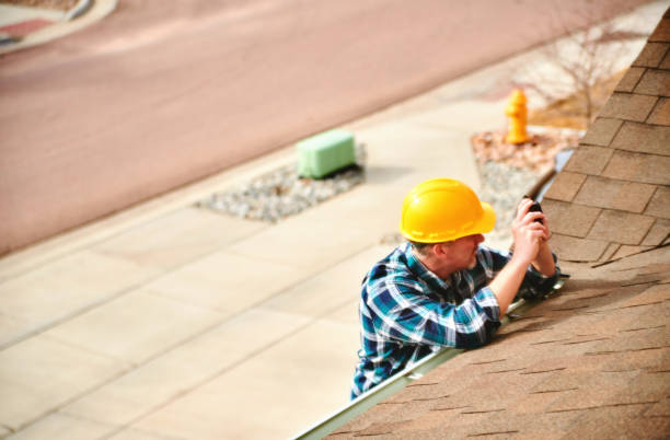 Best Roof Maintenance Services  in Cedar Springs, MI