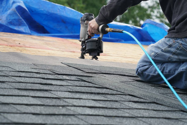 Best Roof Leak Repair  in Cedar Springs, MI