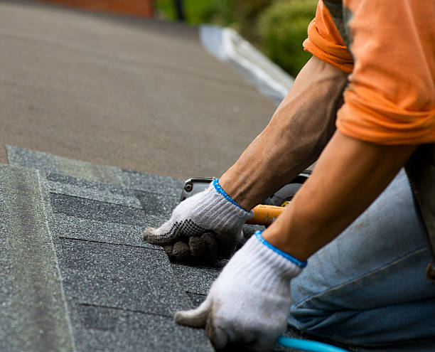 Best Residential Roofing Contractor  in Cedar Springs, MI